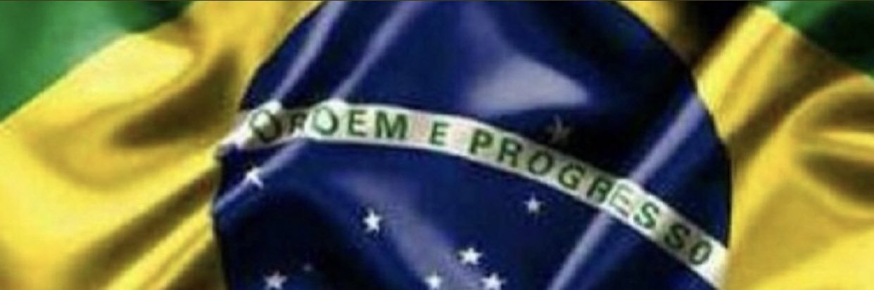 DaniJanene 🇧🇷🇧🇷❤️🇧🇷🇧🇷's banner
