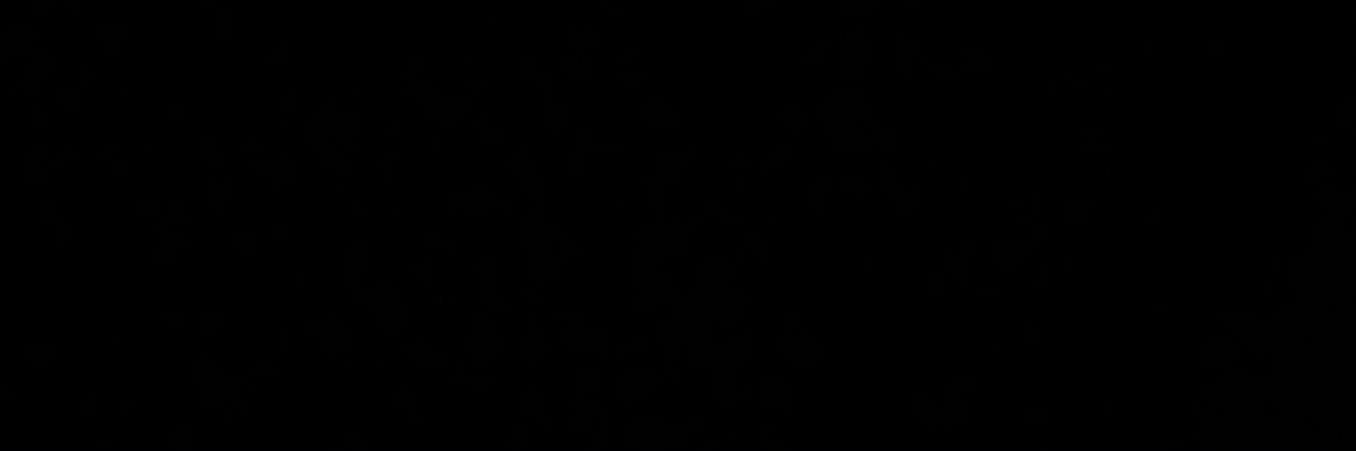 e.'s banner