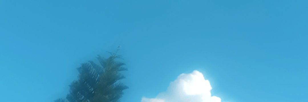 SageSpark's banner