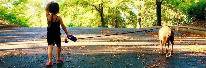 🌹Gina🌹's banner