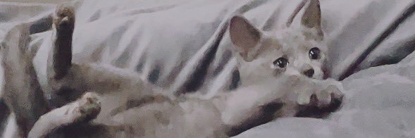 めろちん's banner