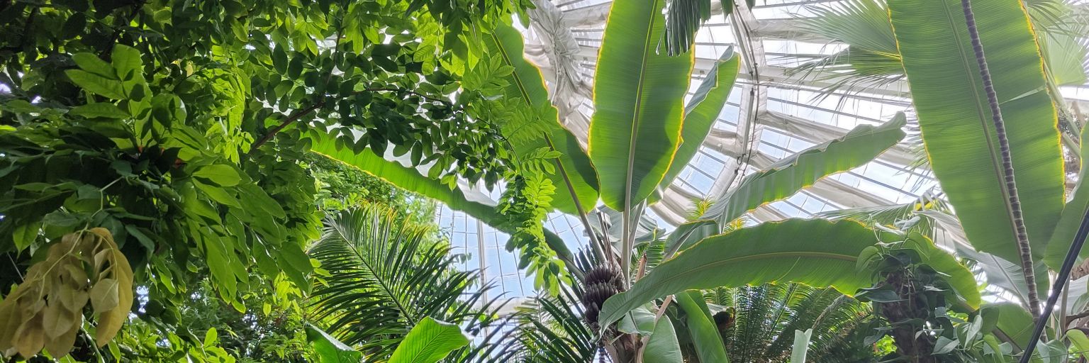 Kai 🌿's banner