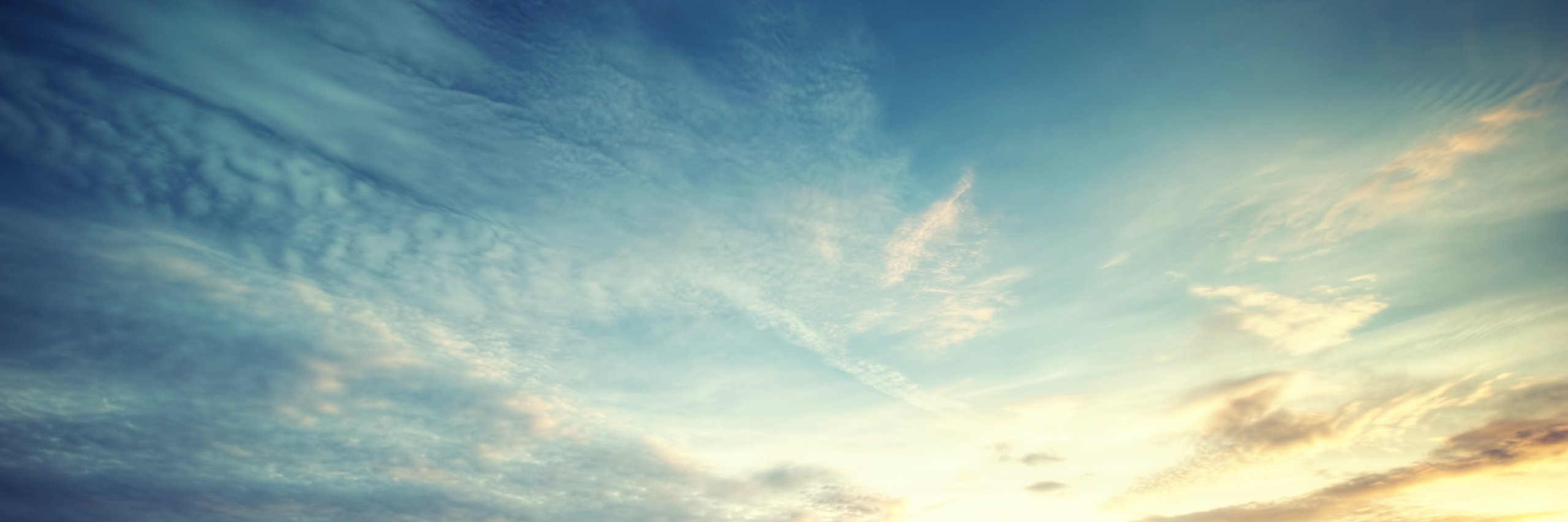 网友爆料's banner