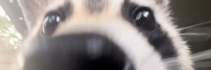 imsickofallmymisery's banner