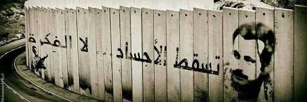 🇮🇶الدكتورة فـيّ السَّــيَّاب 🇵🇸's banner
