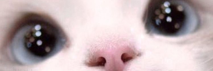 ⋆˚࿔'s banner