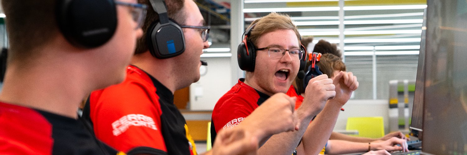 Ferris Esports's banner