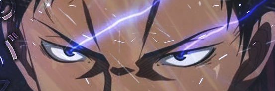Vohlt's banner