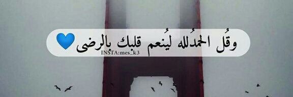 رويدا_اليمن's banner