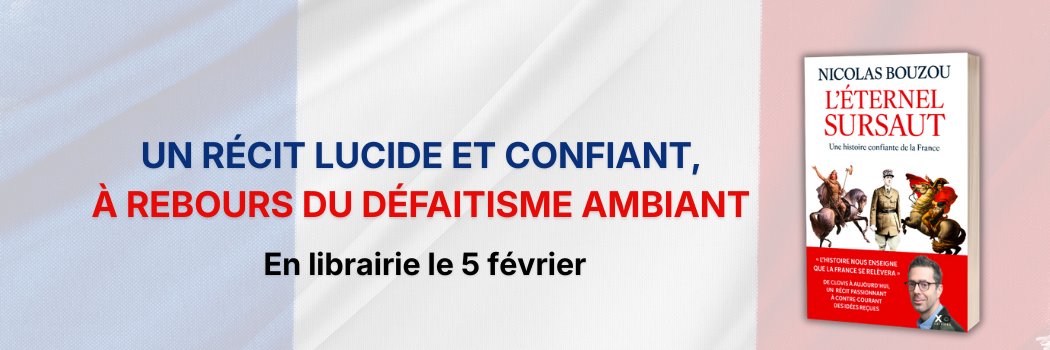 Nicolas Bouzou's banner