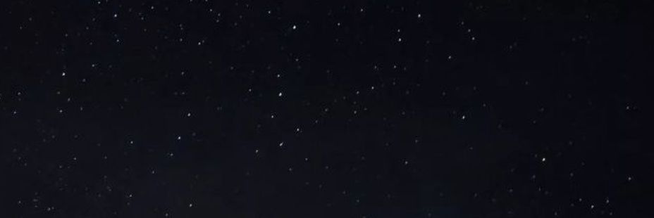 Вероника's banner