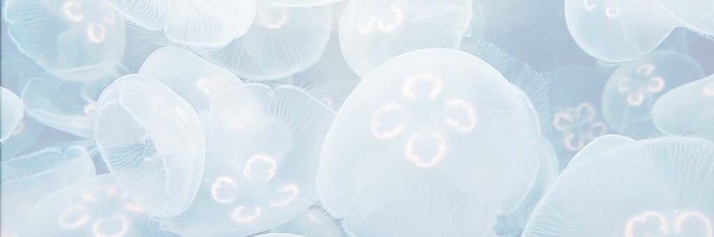 maël 🪽's banner