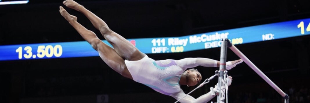 Shilese Jones's banner