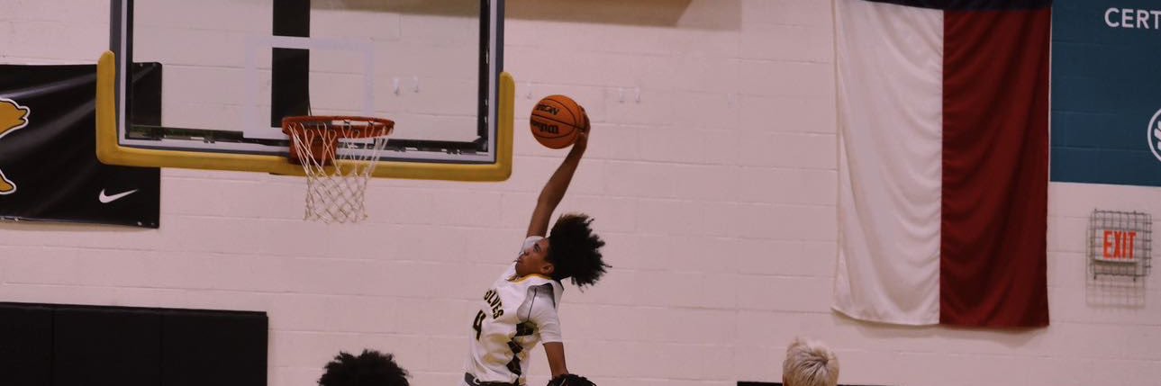 LJ Smith's banner