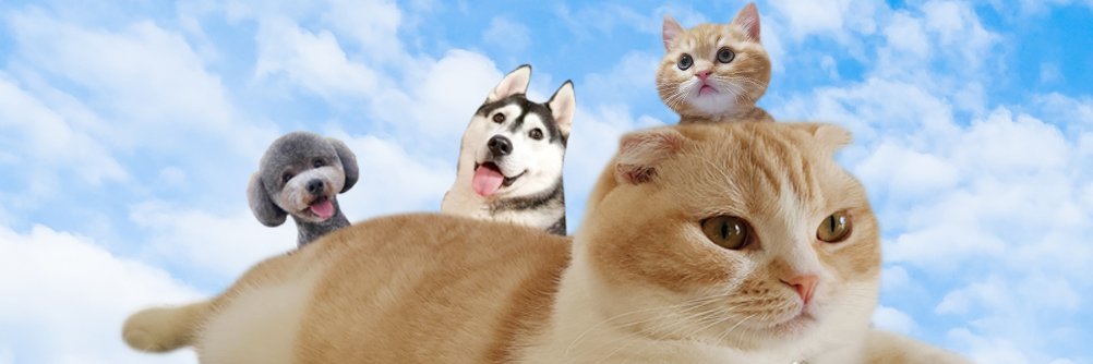 犬と猫の親バカ日記's banner