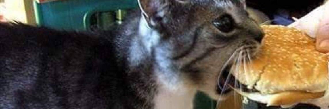 beefstew's banner