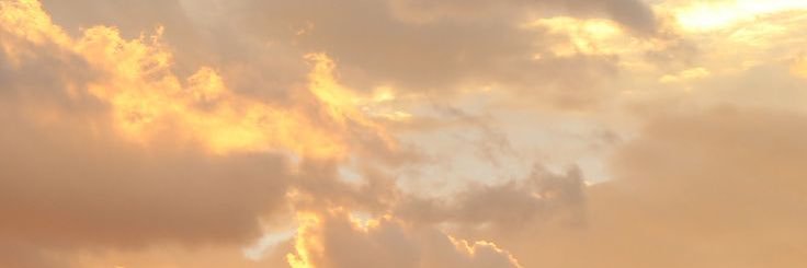 🌙's banner
