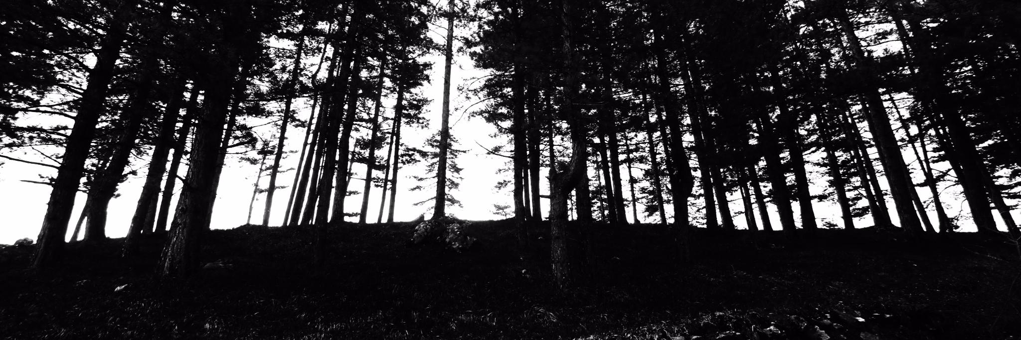 SniperAlley.Photo's banner