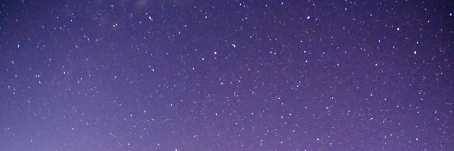 레아's banner