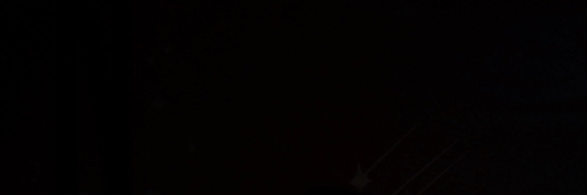 mer's banner