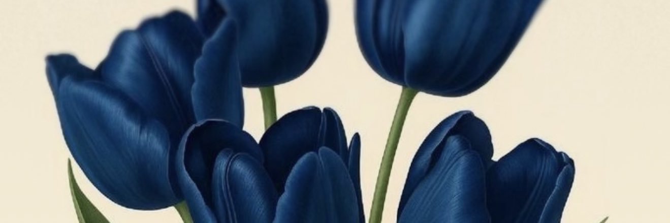 𝑗𝑢𝑙𝑖𝑒 •'s banner