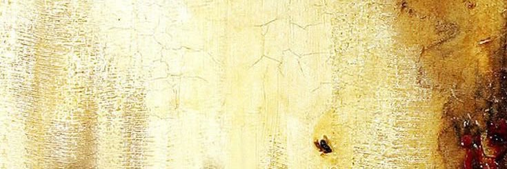 immaterial🫧's banner