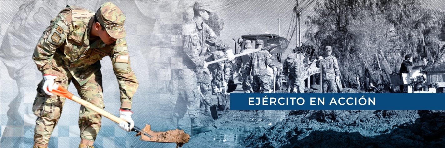 Ejército de Chile's banner