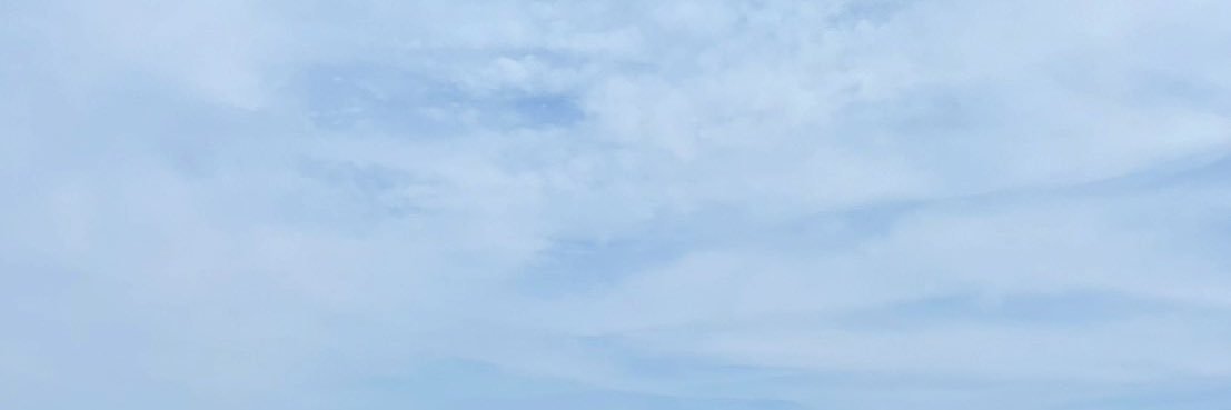 L's banner