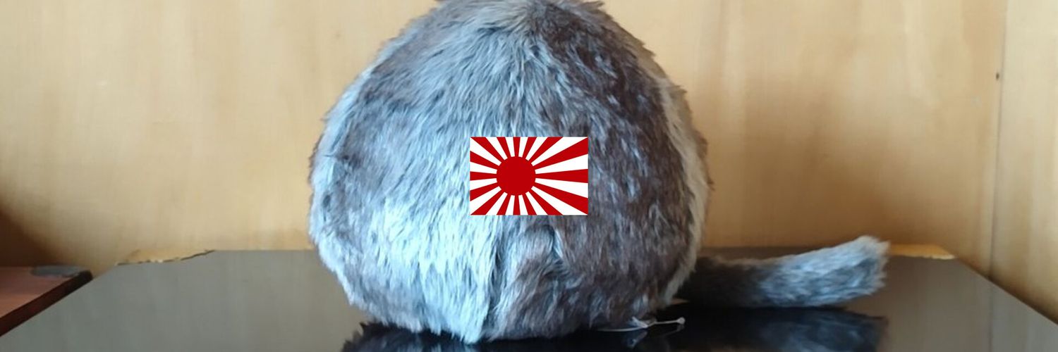 猫毛玉's banner