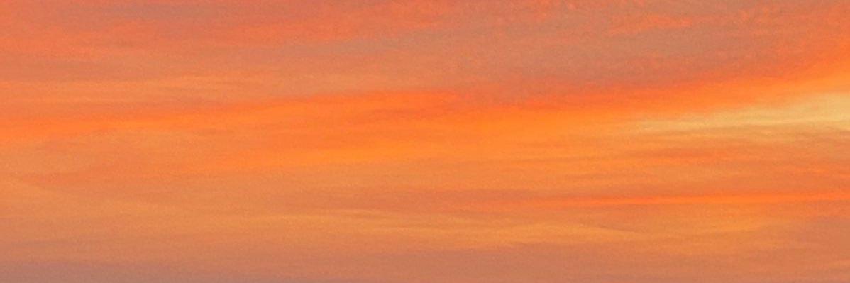 titi🦦's banner