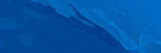 mario's banner