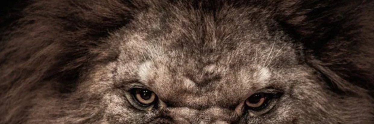 ⚡️⚡️JEREMIAH JOHNSON⚡️⚡️'s banner
