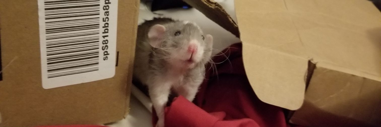 Mr. Schmeckles's banner