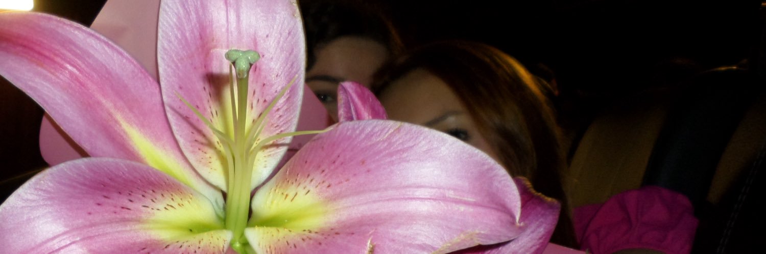 , , ally's banner