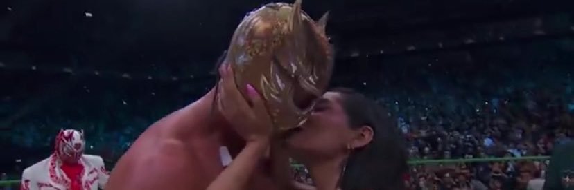 Wrestling Should Be Fun's banner