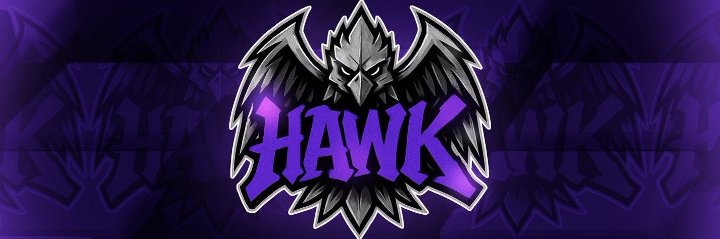 HAWK's banner