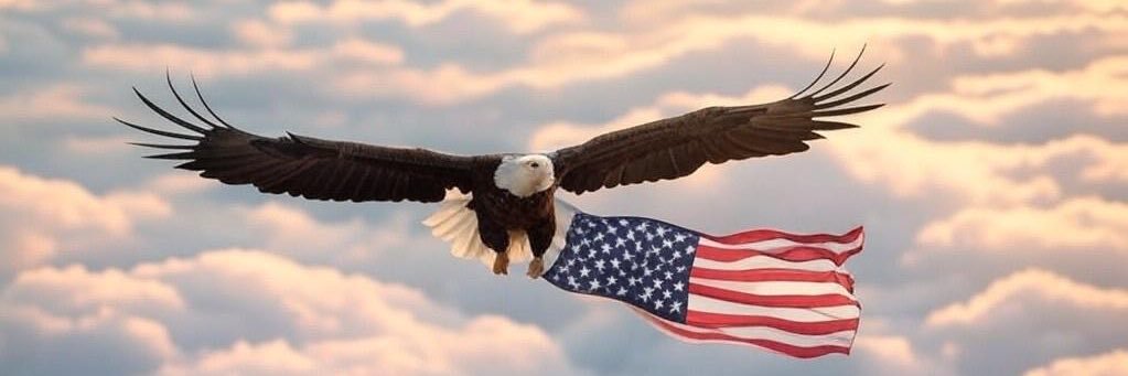 Guardian Eagle's banner