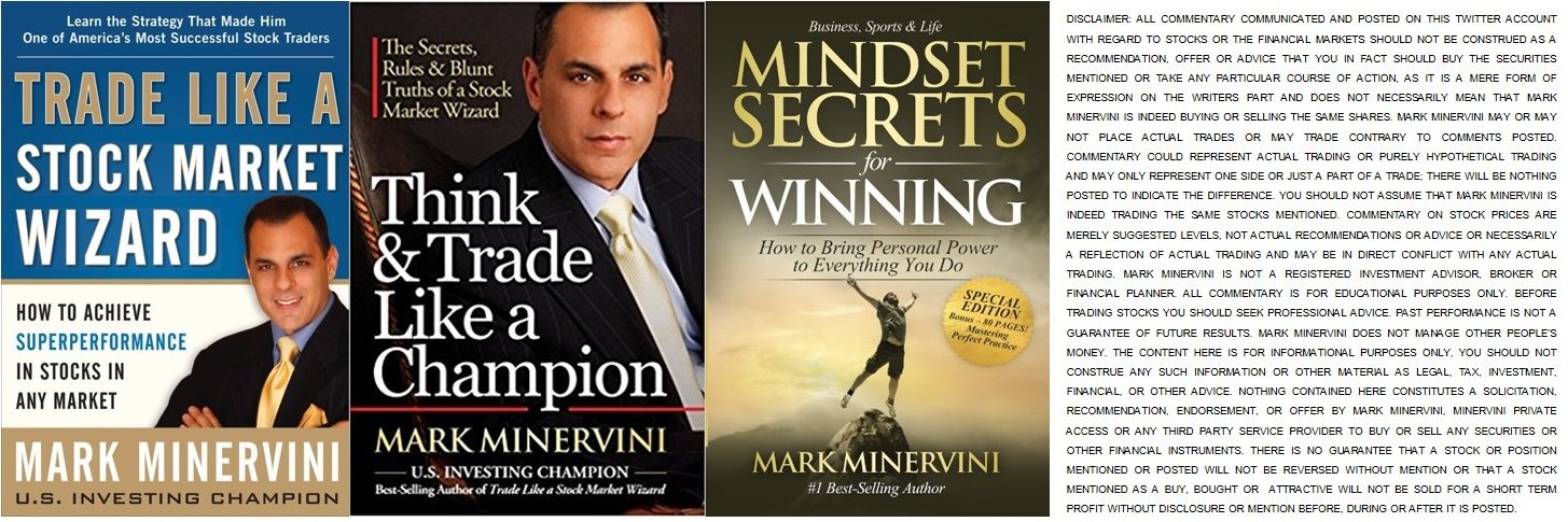 Mark Minervini's banner