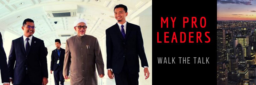 My Pro Leaders's banner