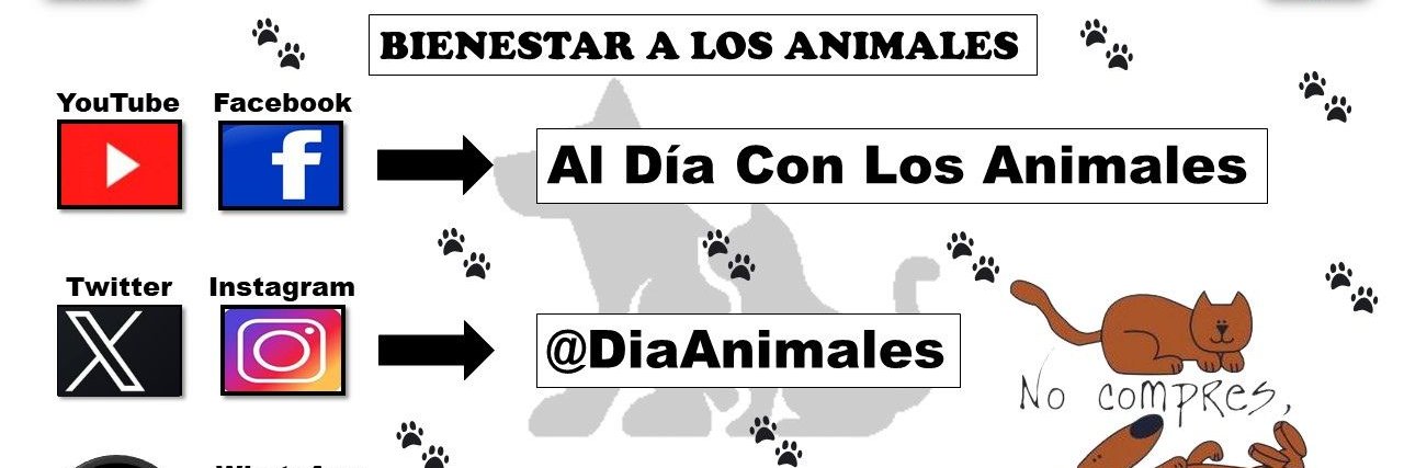 Al Día Con Los Animales 🐾's banner