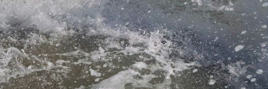 Яна's banner