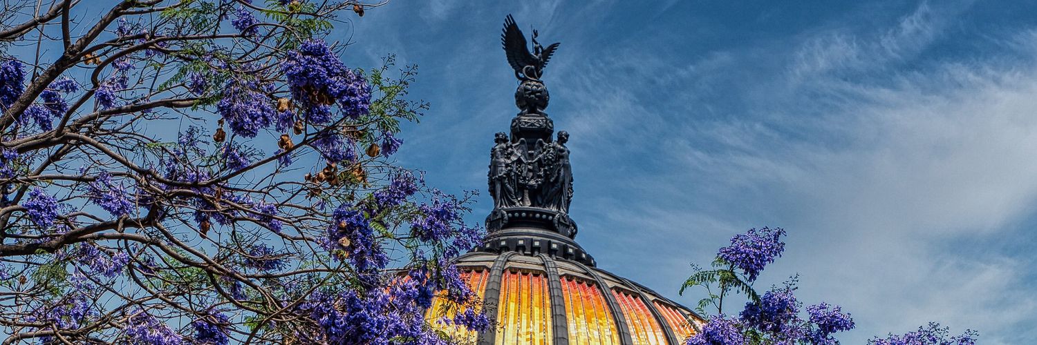Clima CDMX's banner