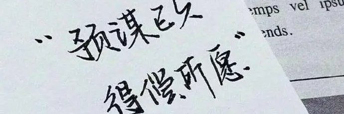 霸王茶姬小张's banner