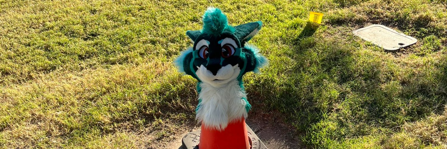 Athy / June Cabbit MP's banner