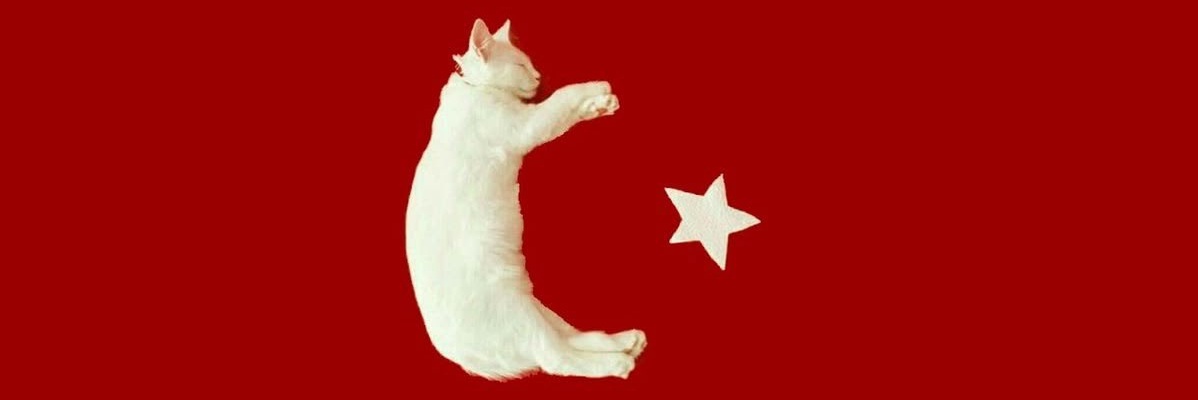 Dilara's banner