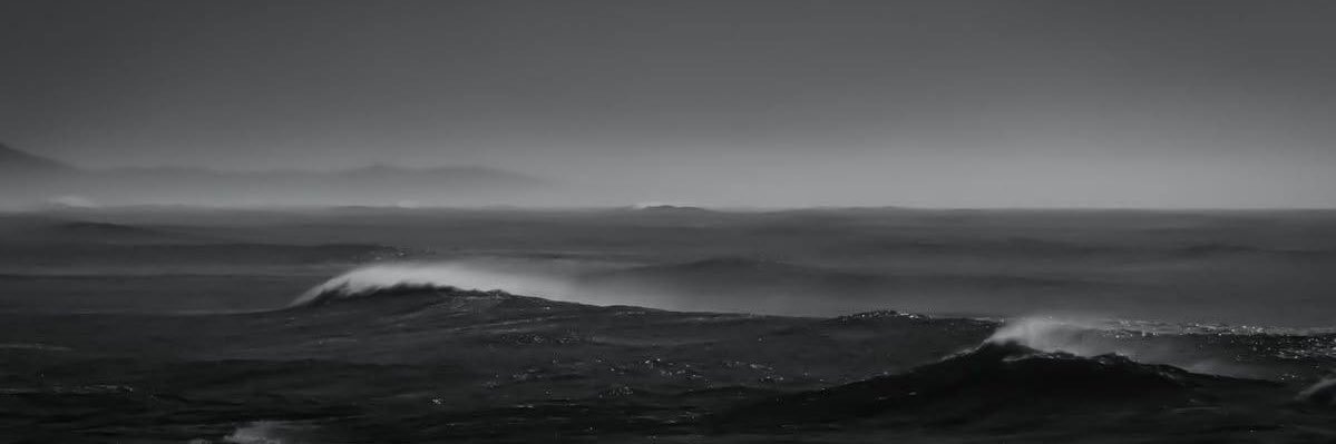 𝙇𝙤 𝙎𝙘𝙞𝙢𝙥𝙖𝙣𝙯𝙚’'s banner