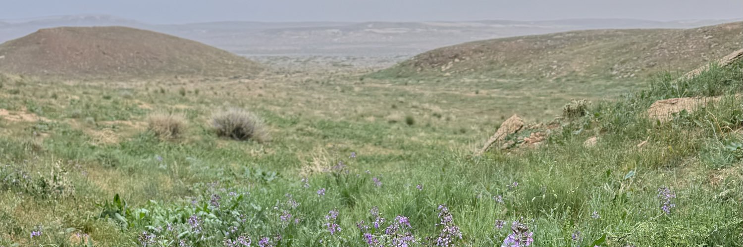 حسن الهويمل's banner