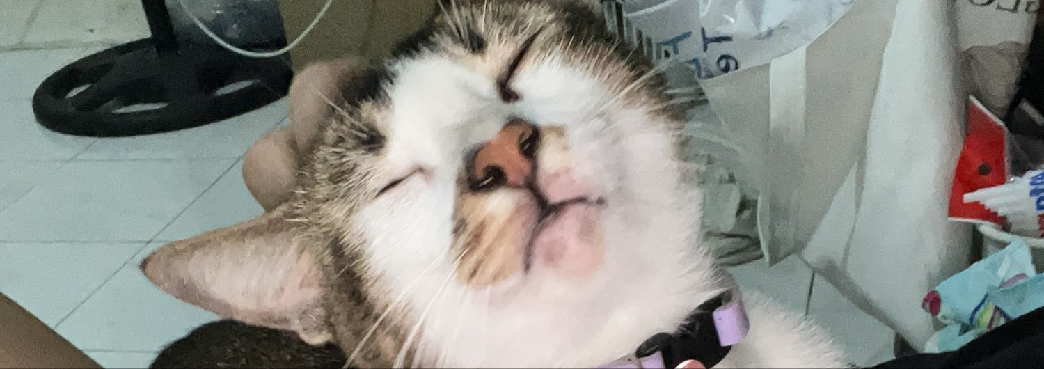 ᴠᴇɴᴜꜱ ᴀ.'s banner
