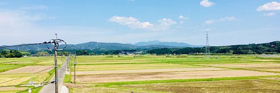 ど田舎くん @転職/就活支援's banner