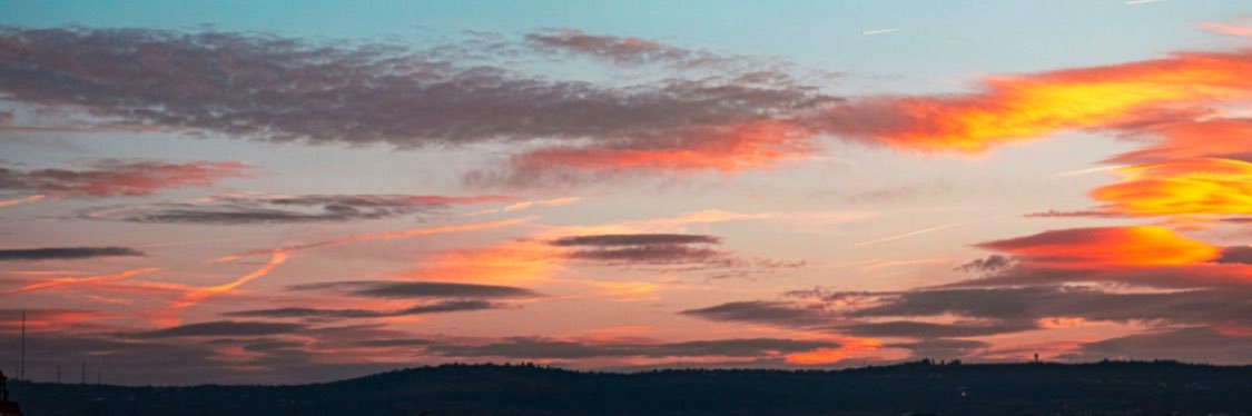 ᴊᴇʟᴀ's banner
